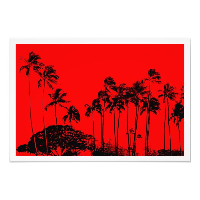 Ampliación de la foto (Frente)