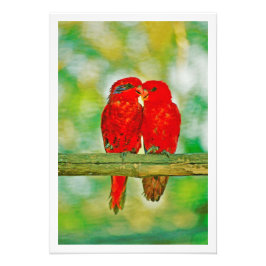 Ampliación de la foto