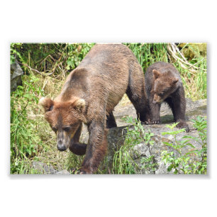 Ampliación de la foto