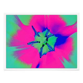 Ampliación de la foto