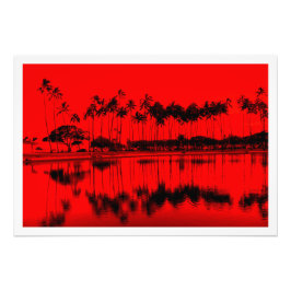 Ampliación de la foto