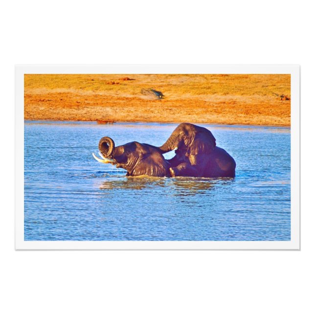 Ampliación de la foto (Frente)