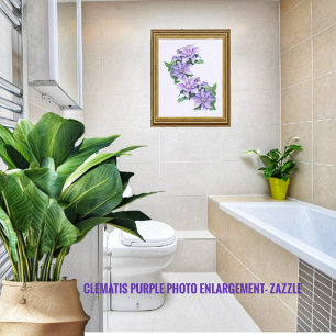 Ampliación de la foto Clematis Purple