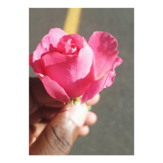 Ampliación de la foto de la flor Rosa