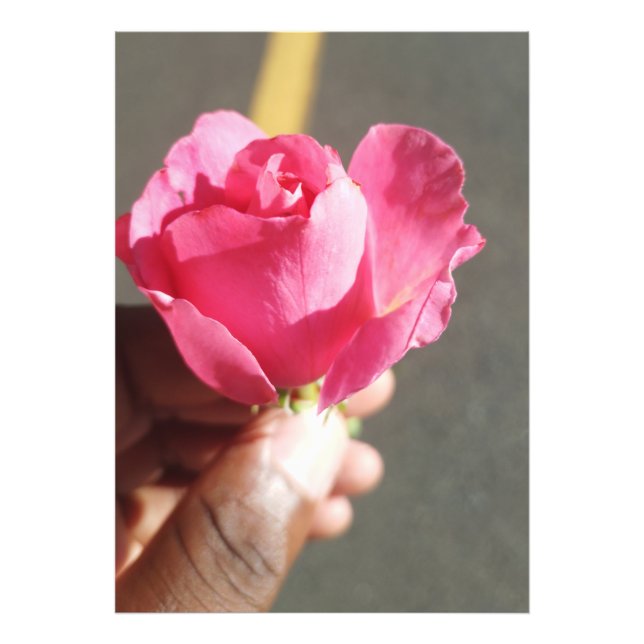 Ampliación de la foto de la flor Rosa (Frente)