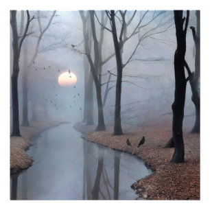 Ampliación de la foto de Misty Morning