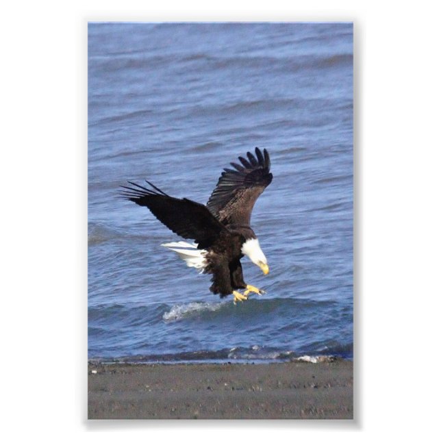 Ampliación de la foto de papel fotográfico satinad (Frente)