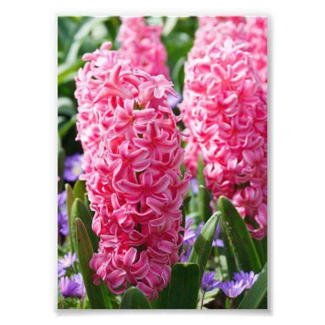 Ampliación de la foto de su Personalizado de 5" x  (Frente)