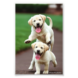 Ampliación de la foto de un laboratorio amarillo d