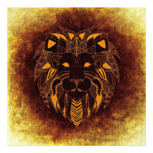 Ampliación majestuosa de la foto de los leones