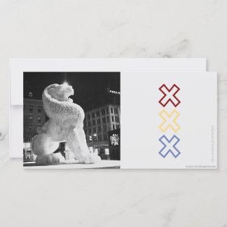 Amstergrama de león