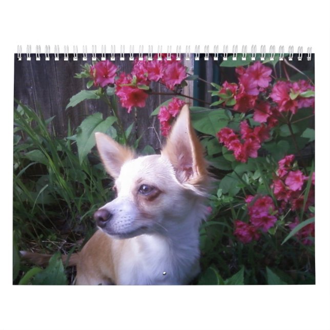 "Añada calendario de sus propias fotos    " (Tapa)