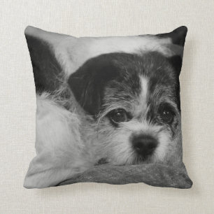 Añada el Cojín decorativo de la foto del mascota