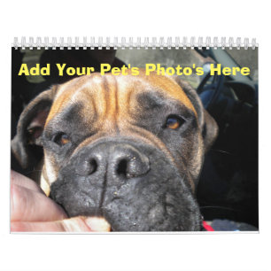 Añada las fotos de su mascota a cada calendario