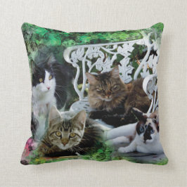 Añada su almohada preferida de la foto del mascota