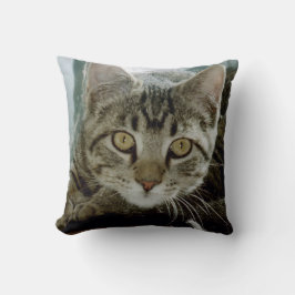 Añada su almohada preferida de las fotos r1 del