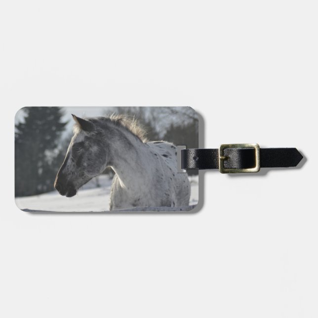 Añada su propia etiqueta del equipaje del viaje de (Frente Horizontal)