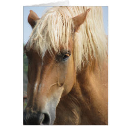 ¡Añade tu propio texto!