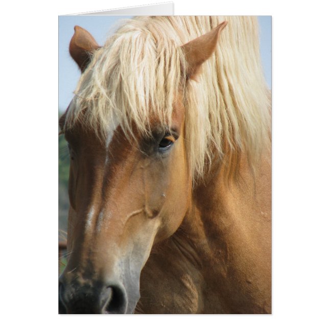 ¡Añade tu propio texto! (Frente)