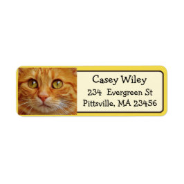 Añadir la foto de su gato a esta etiqueta de direc