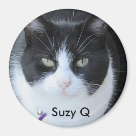 Añadir la foto de su gato a este imán refrigerador