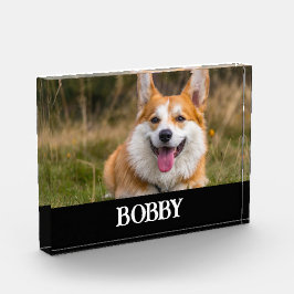 Añadir su propia foto y nombre de perro