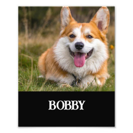 Añadir su propia foto y nombre de perro