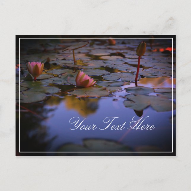 Añadir tu postal de Lily de Agua de Texto (Anverso)