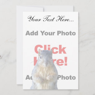 Añadir un Personalizado de ardilla