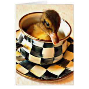 Anadón adorable en taza de té