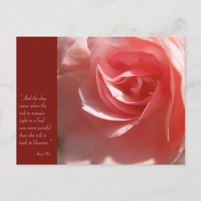 Anais Nin cita postal en rosa (Anverso)