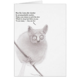 Anarquista del bebé de Bush