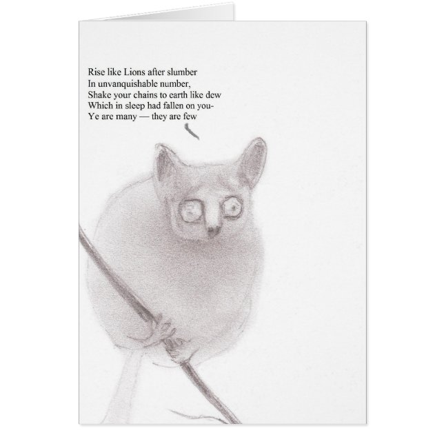 Anarquista del bebé de Bush (Frente)