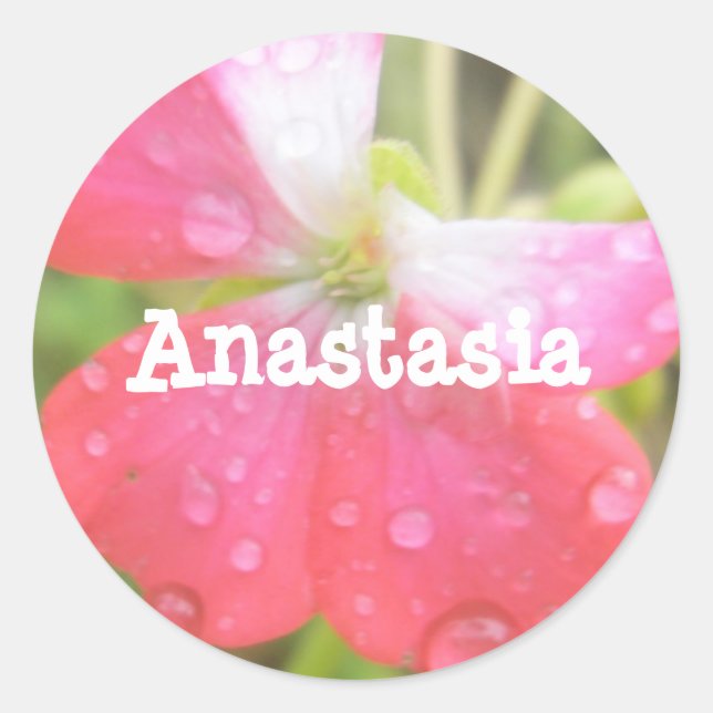 Anastasia nombre de niña amaryllis pegatinas (Anverso)