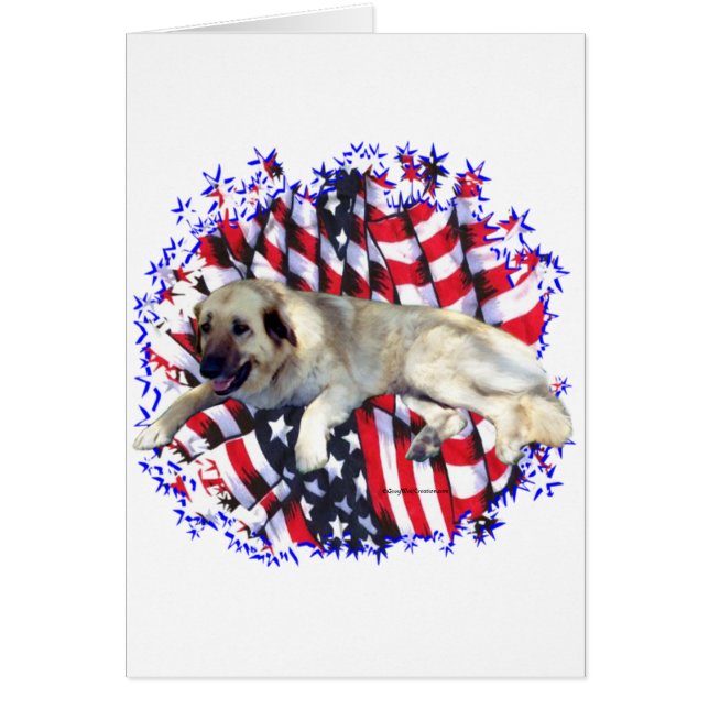 Anatolian Shepherd Dog Patriot (Frente)