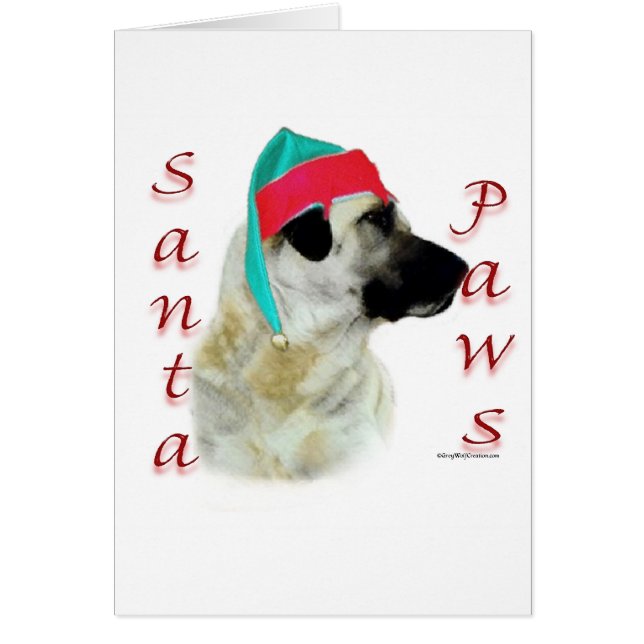 Anatolian Shepherd Dog Santa Paws (Frente)