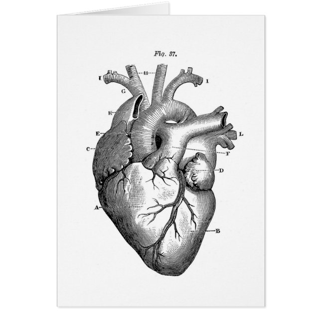 Anatomía cardíaca vintage | PERSONALIZABLE (Frente)