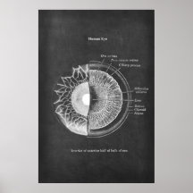 Anatomía de la decoración oftometrista de ojos hum