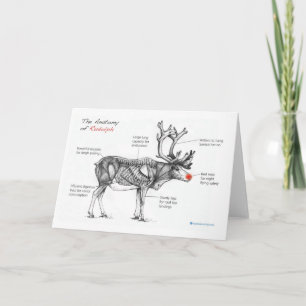 Anatomía de la tarjeta de Navidad
