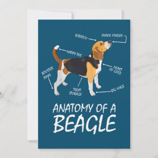 Anatomía De Los Amantes De Un Perro Beagle