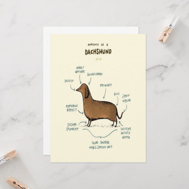 Anatomía De Un Dachshund | Amantes del perro de Da (Anverso/Reverso In Situ)