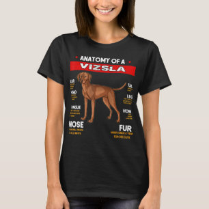 Anatomía De Un Perro Vizsla Amantes De La Camisa
