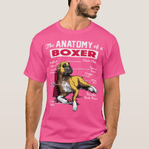 Anatomía De Una Camisa De Perro Boxer - Camisa Gra