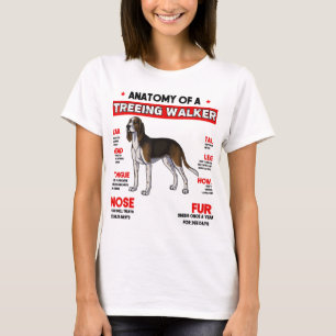 Anatomía de una camiseta de perro cohound de cami
