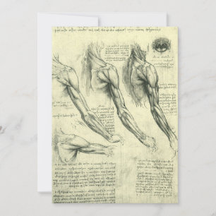 Anatomía del brazo y hombro de Leonardo da Vinci