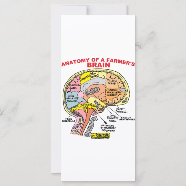 ANATOMÍA DEL CEREBRO DE UN AGRICULTOR (Anverso)