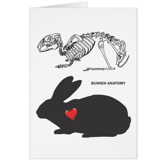 Anatomía del conejito (Frente)