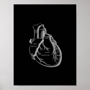 Anatomía del corazón humano en la impresión en bla