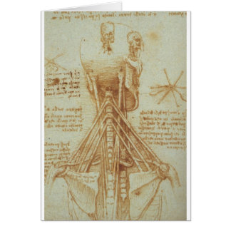Anatomía del cuello de Leonardo da Vinci C. 1515