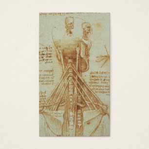 Anatomía del cuello de Leonardo da Vinci C. 1515